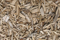 biomass boilers Dreghorn